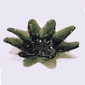 Blenko Star Fish Tray